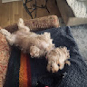 Meet your Posher, Jaime